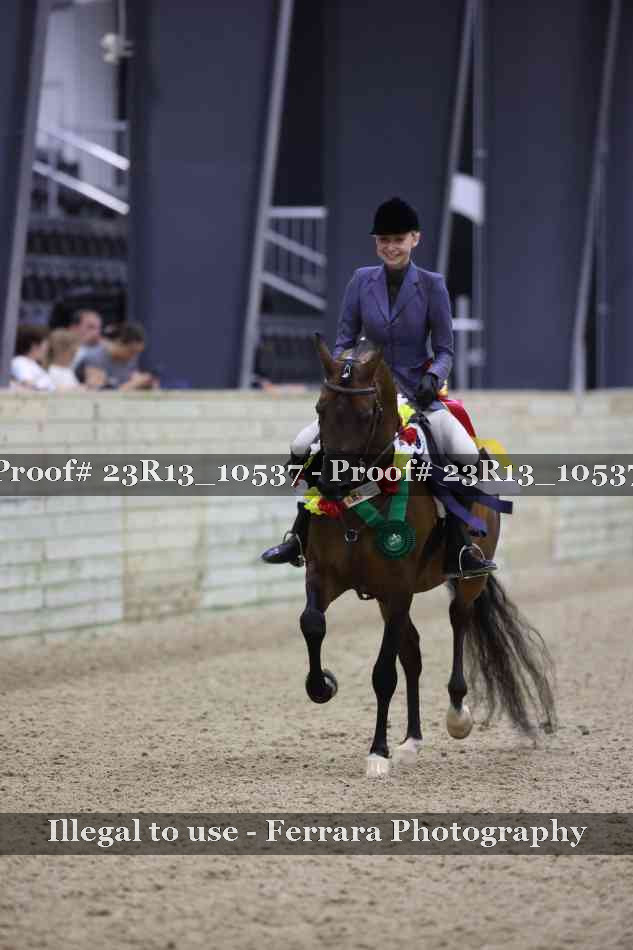 Proof Number 23R13_10537