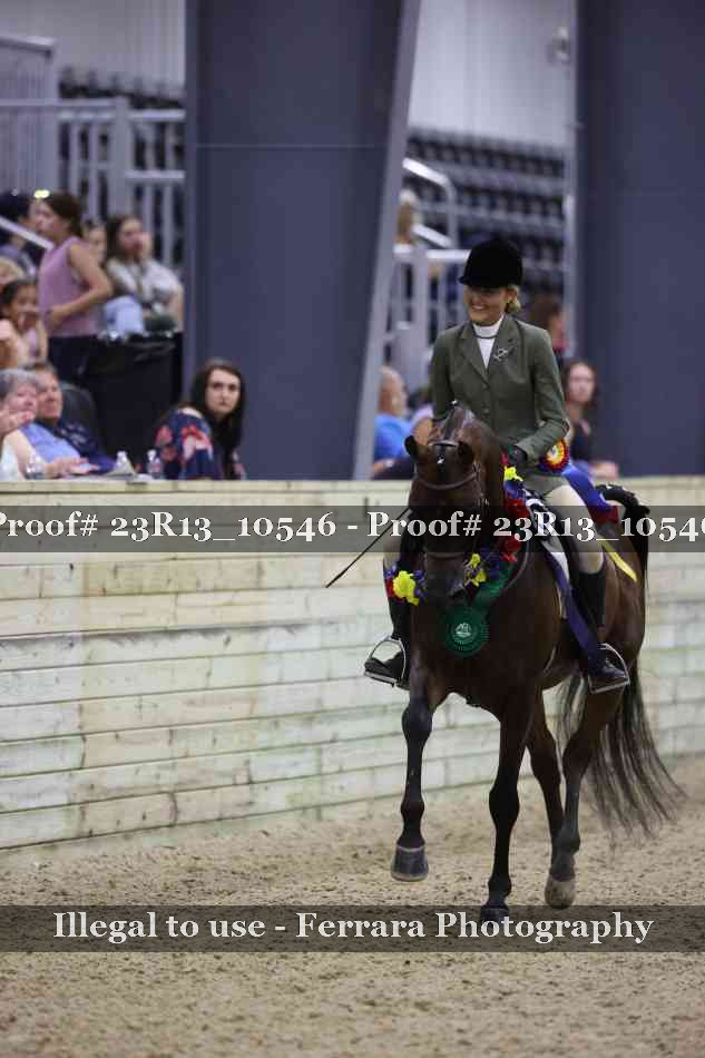 Proof Number 23R13_10546