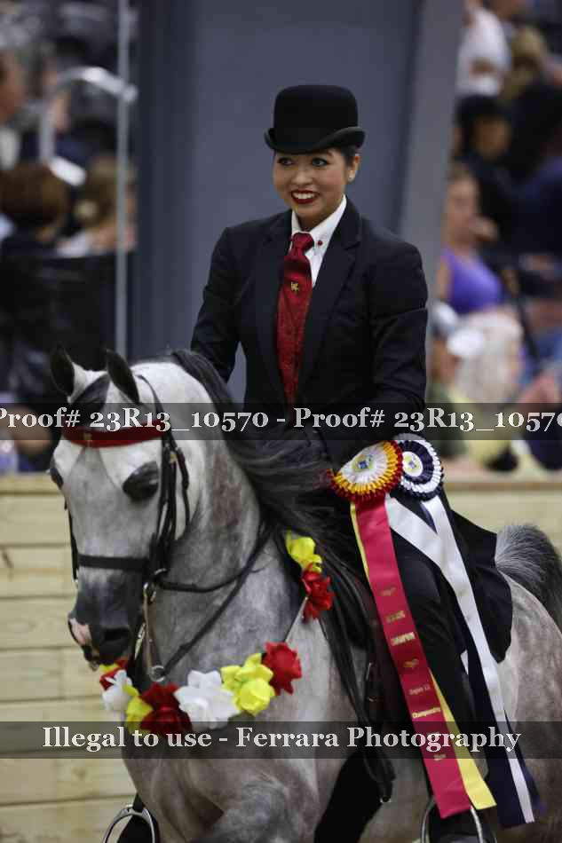 Proof Number 23R13_10570