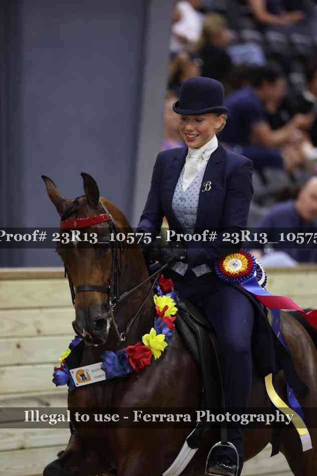 Proof Number 23R13_10575