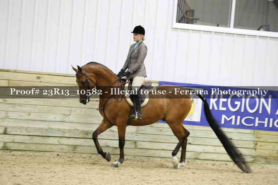 Proof Number 23R13_10582