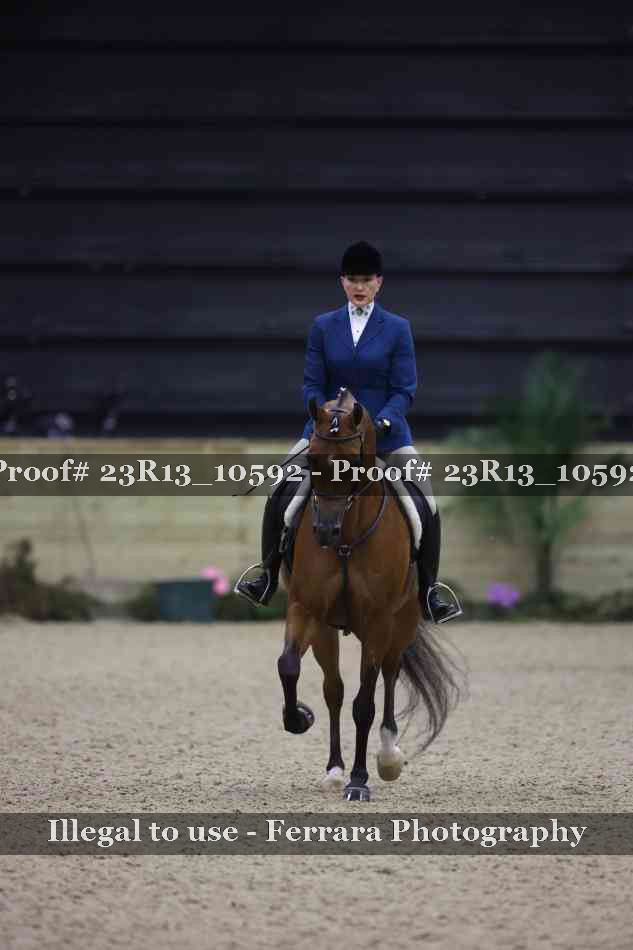 Proof Number 23R13_10592