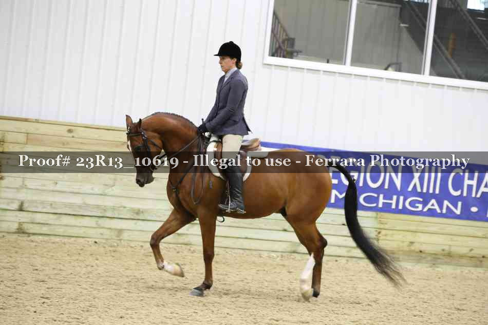 Proof Number 23R13_10619