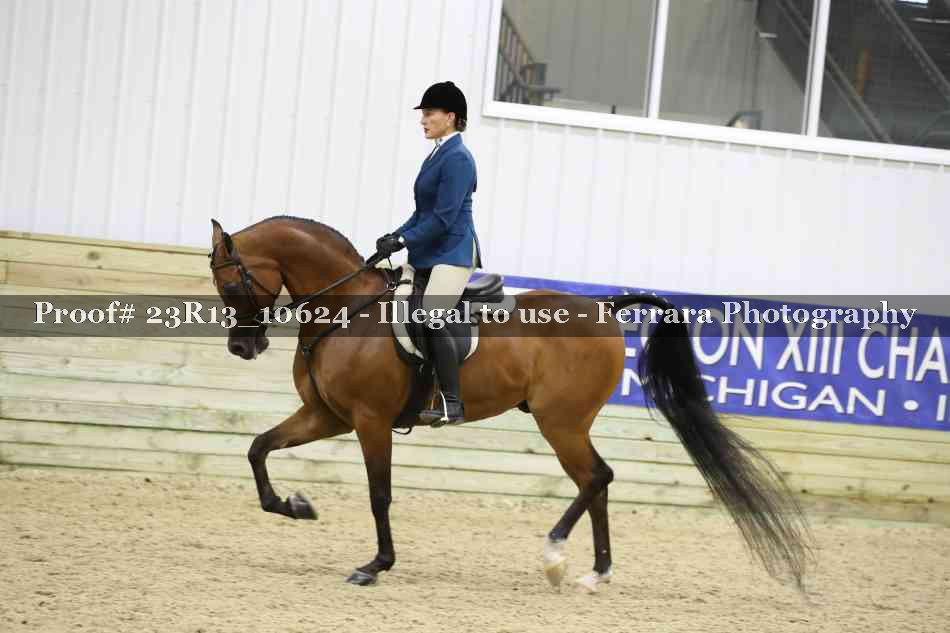 Proof Number 23R13_10624