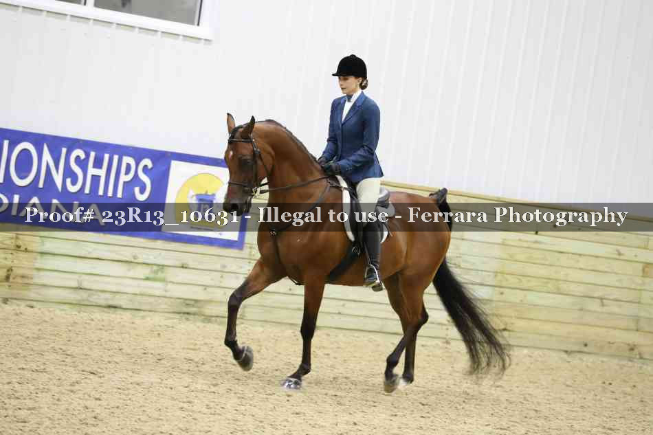 Proof Number 23R13_10631