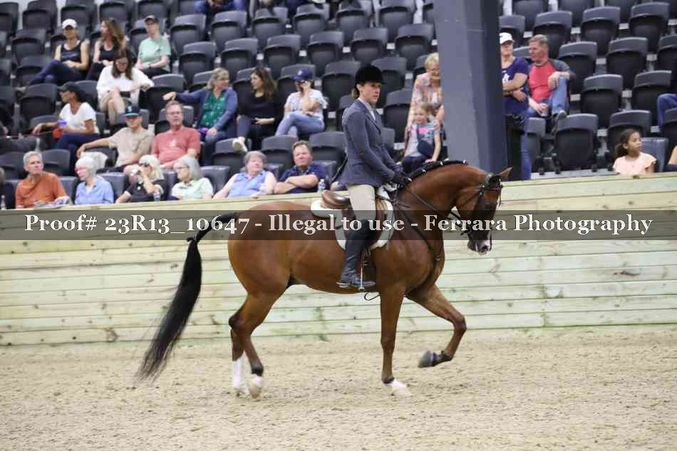 Proof Number 23R13_10647