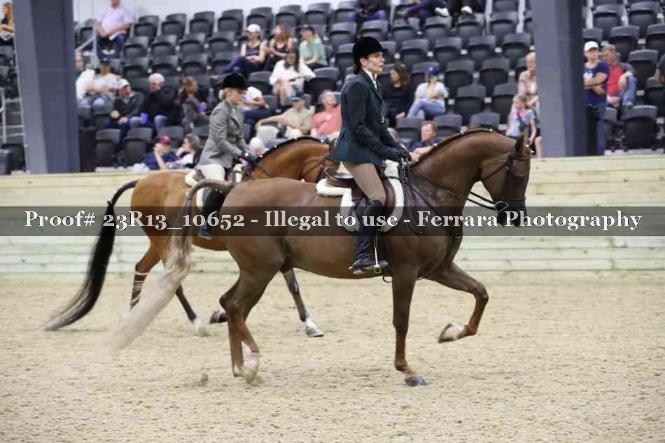Proof Number 23R13_10652