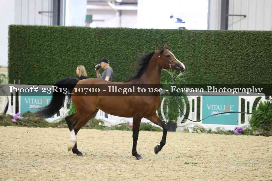 Proof Number 23R13_10700