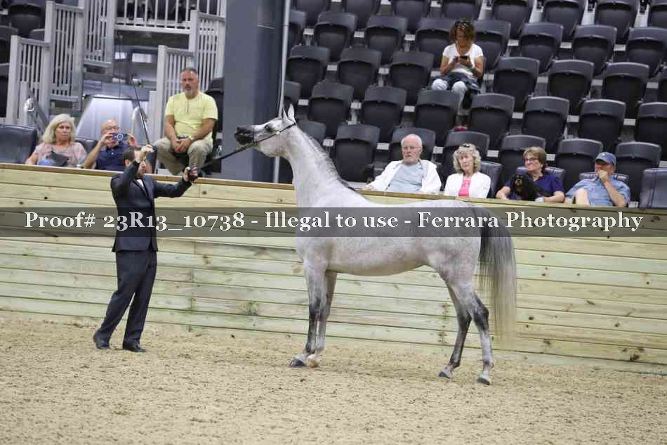 Proof Number 23R13_10738