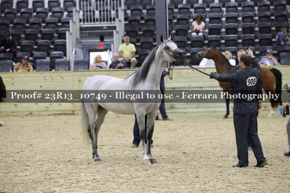Proof Number 23R13_10749
