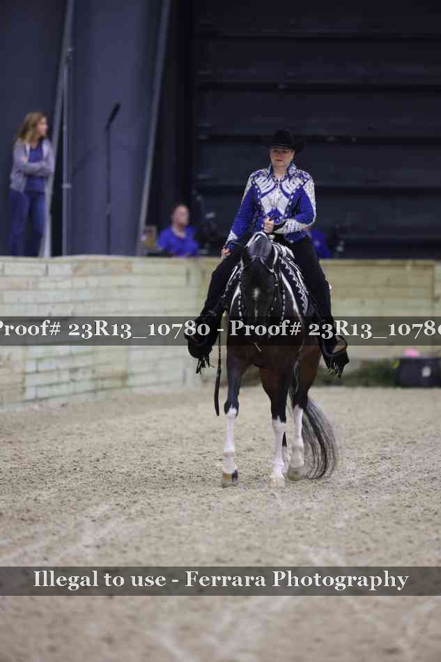 Proof Number 23R13_10780