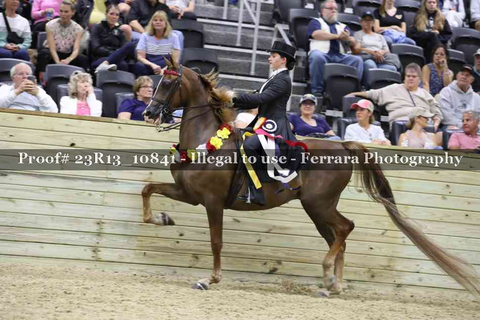 Proof Number 23R13_10841