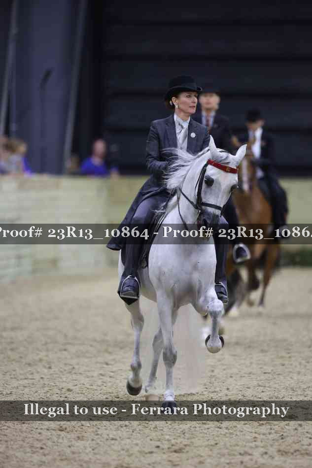 Proof Number 23R13_10864