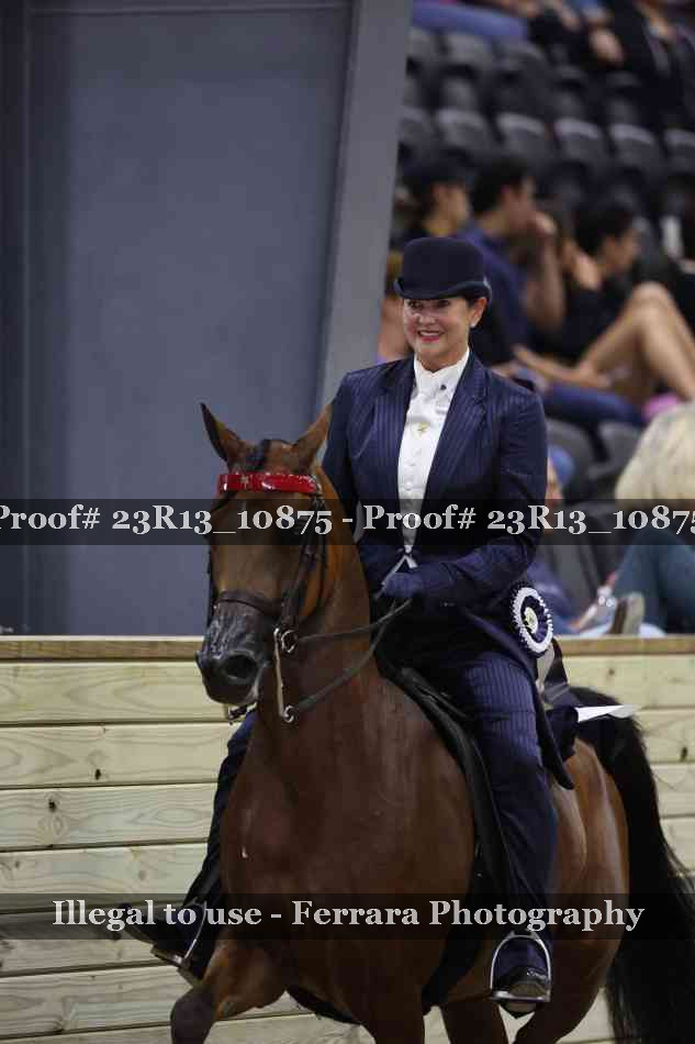 Proof Number 23R13_10875