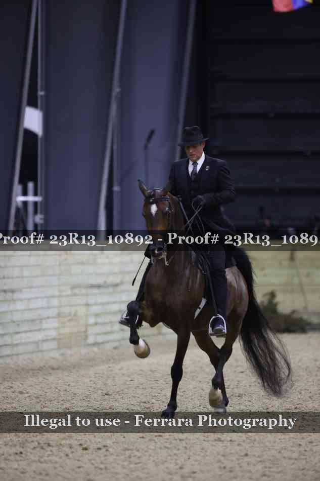 Proof Number 23R13_10892