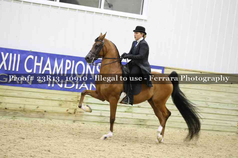 Proof Number 23R13_10910