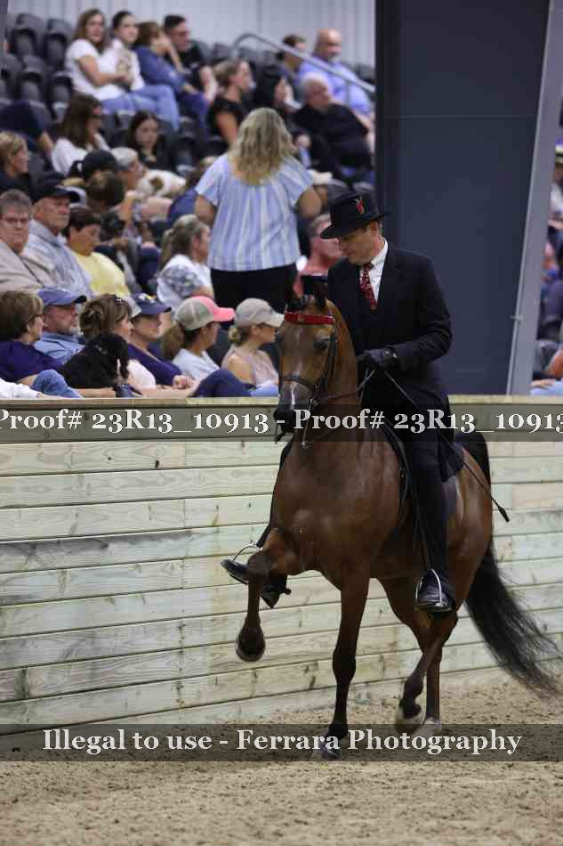 Proof Number 23R13_10913