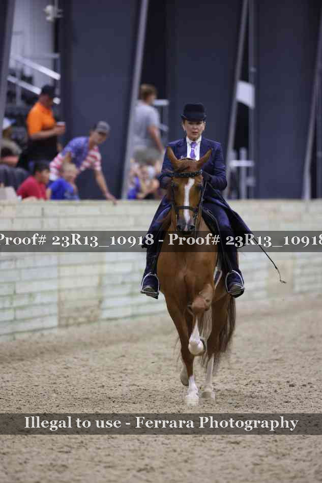 Proof Number 23R13_10918