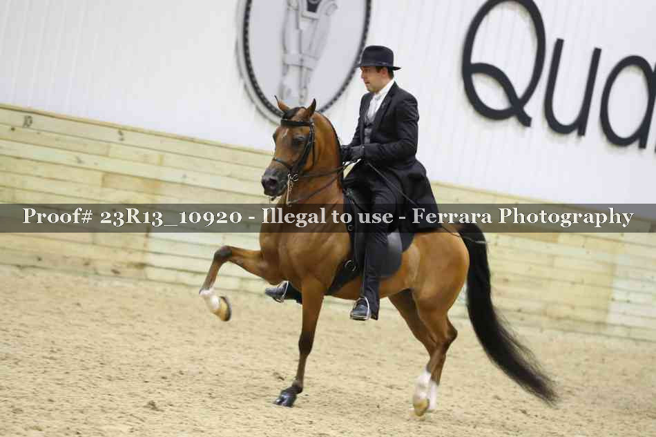Proof Number 23R13_10920