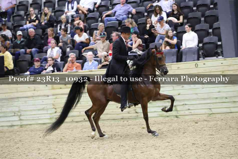 Proof Number 23R13_10932