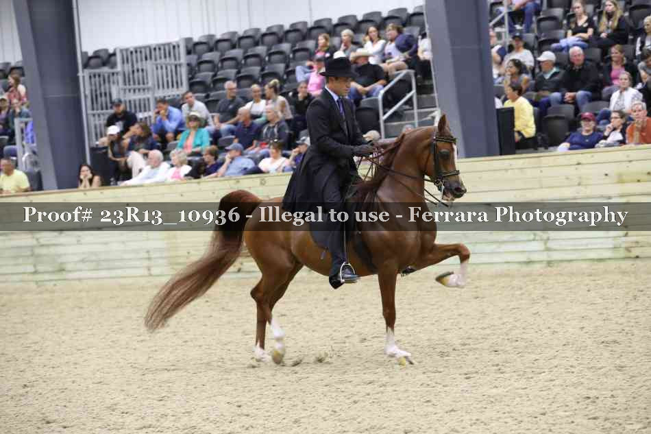 Proof Number 23R13_10936