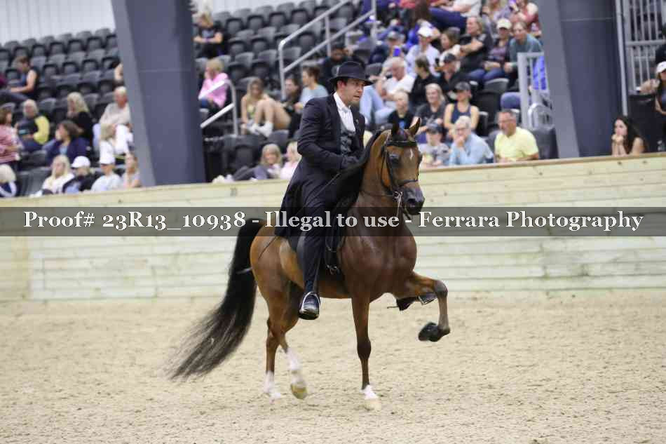 Proof Number 23R13_10938