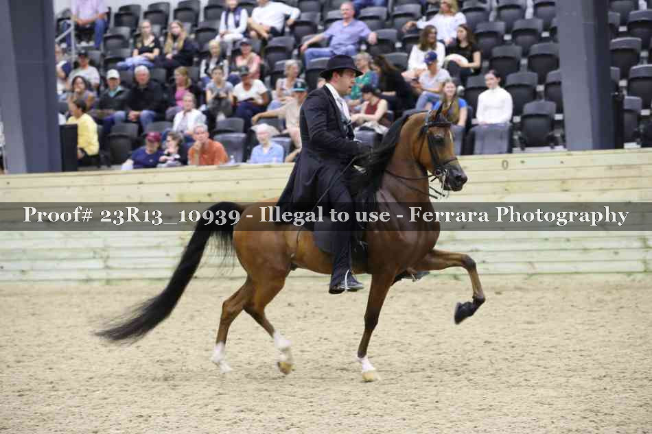 Proof Number 23R13_10939