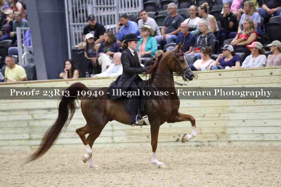 Proof Number 23R13_10940