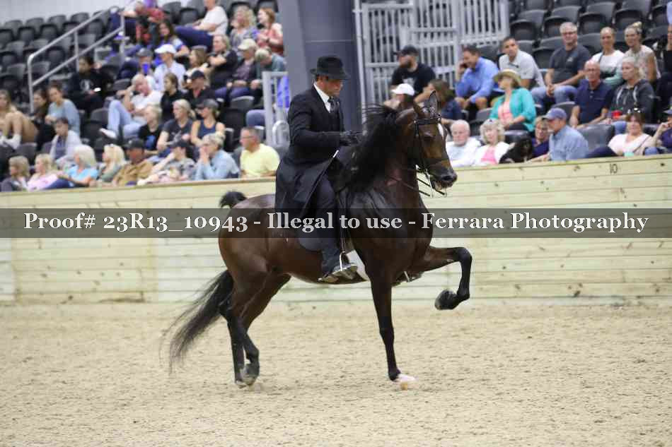 Proof Number 23R13_10943