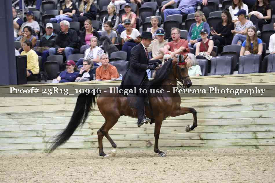 Proof Number 23R13_10946