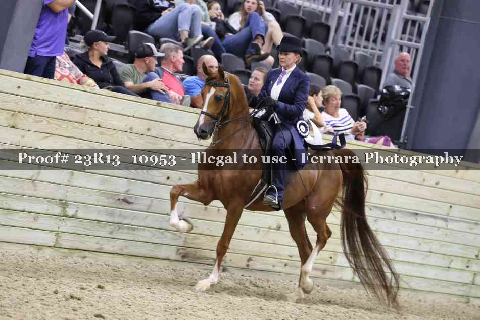 Proof Number 23R13_10953