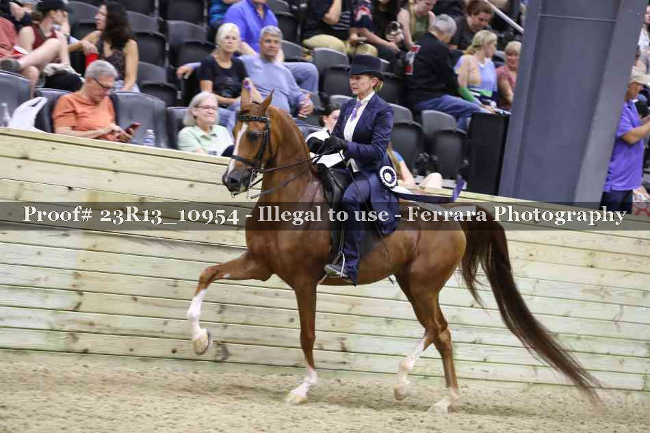 Proof Number 23R13_10954
