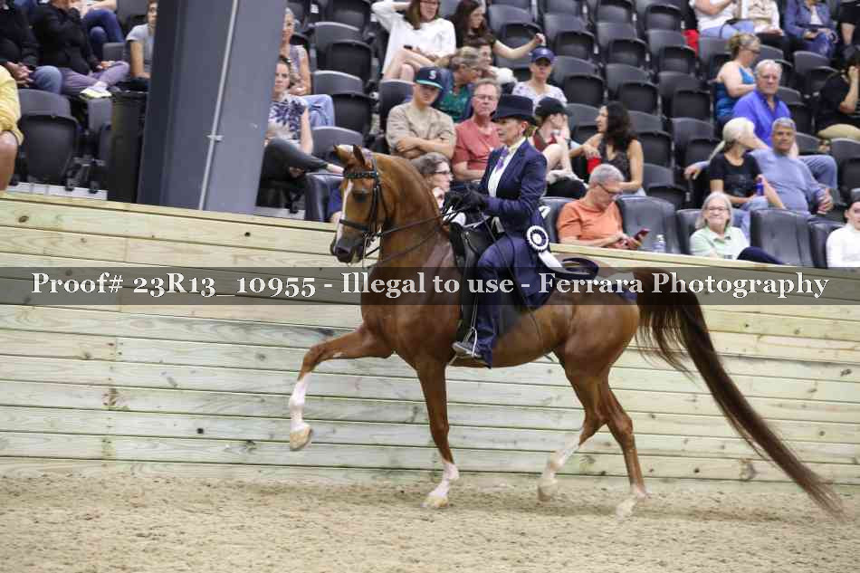 Proof Number 23R13_10955