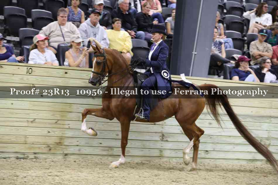 Proof Number 23R13_10956
