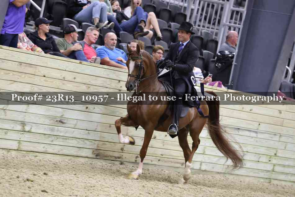 Proof Number 23R13_10957