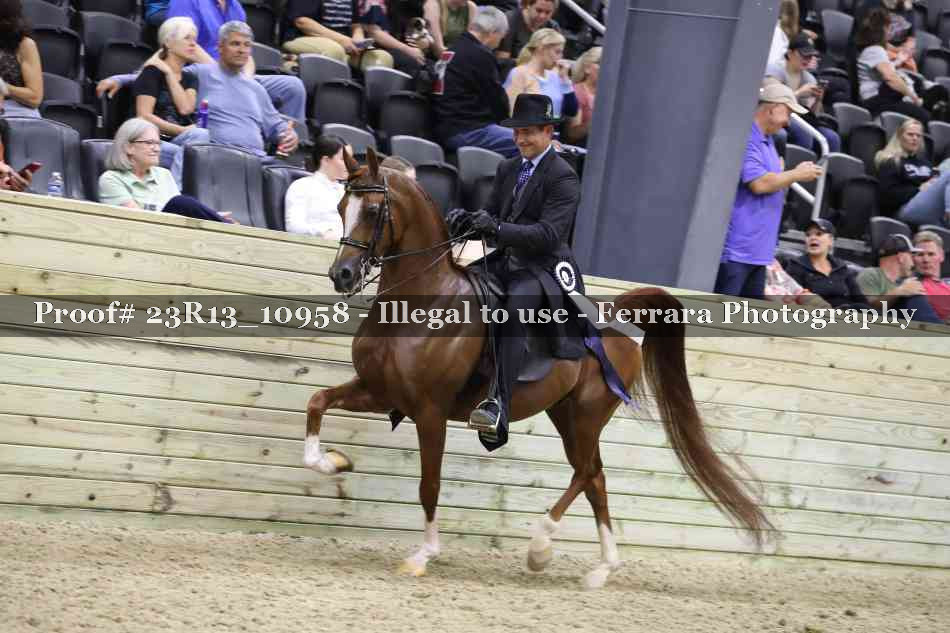 Proof Number 23R13_10958