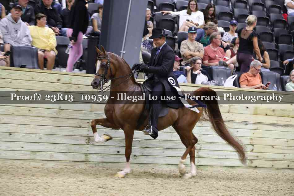 Proof Number 23R13_10959