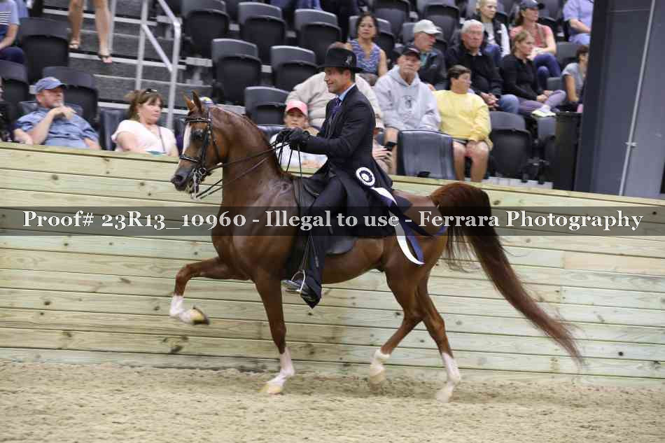 Proof Number 23R13_10960