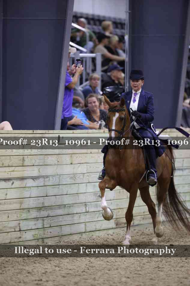 Proof Number 23R13_10961