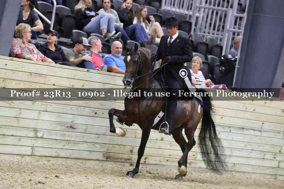 Proof Number 23R13_10962