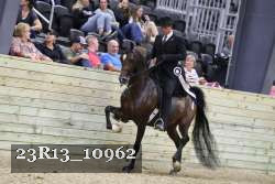 23R13_10962 thumbnail