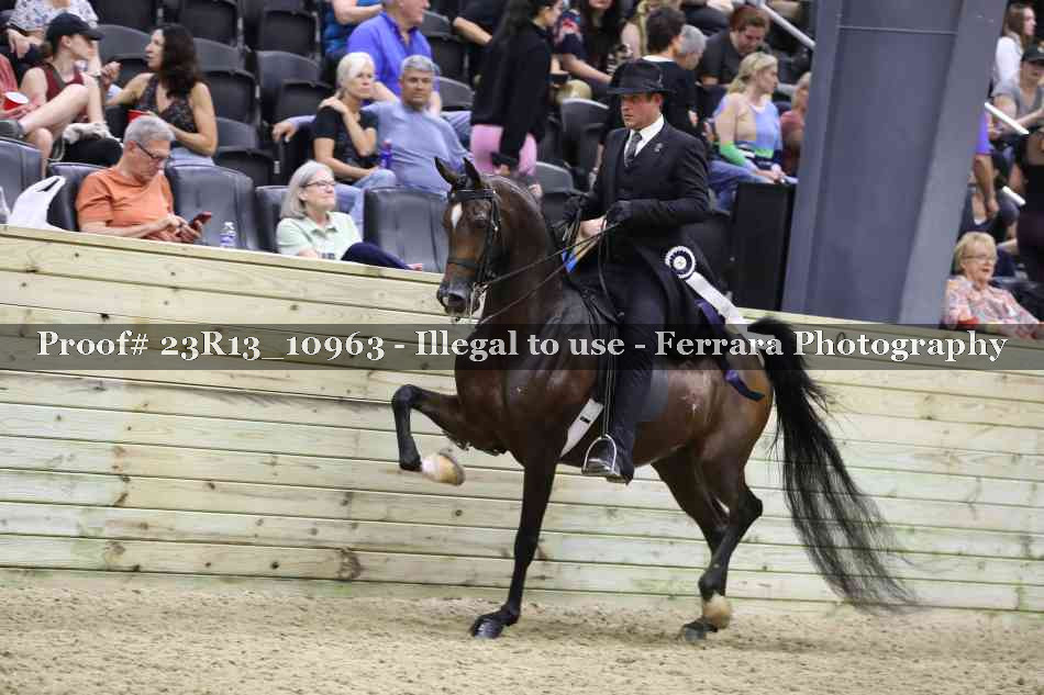 Proof Number 23R13_10963