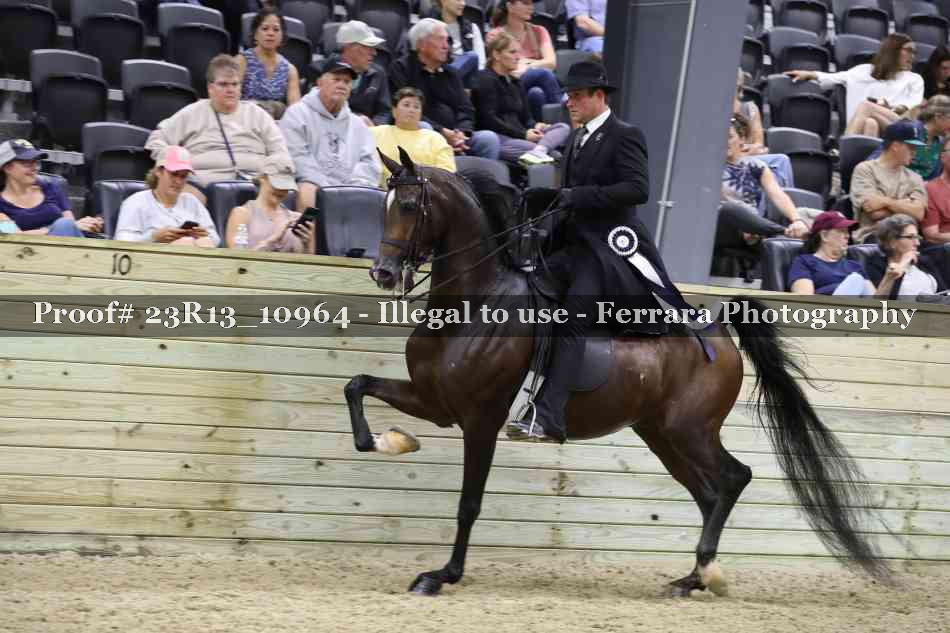 Proof Number 23R13_10964