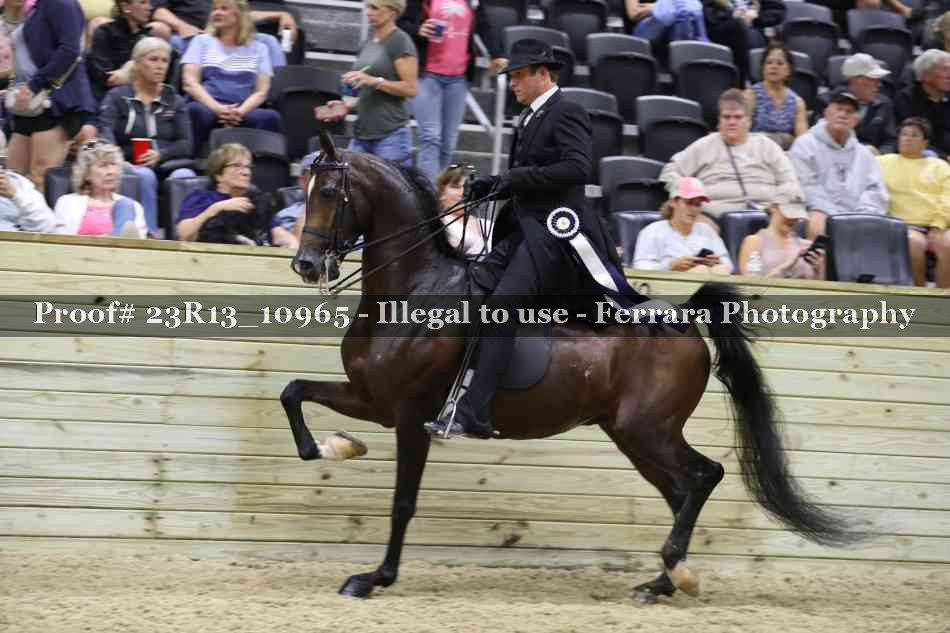 Proof Number 23R13_10965