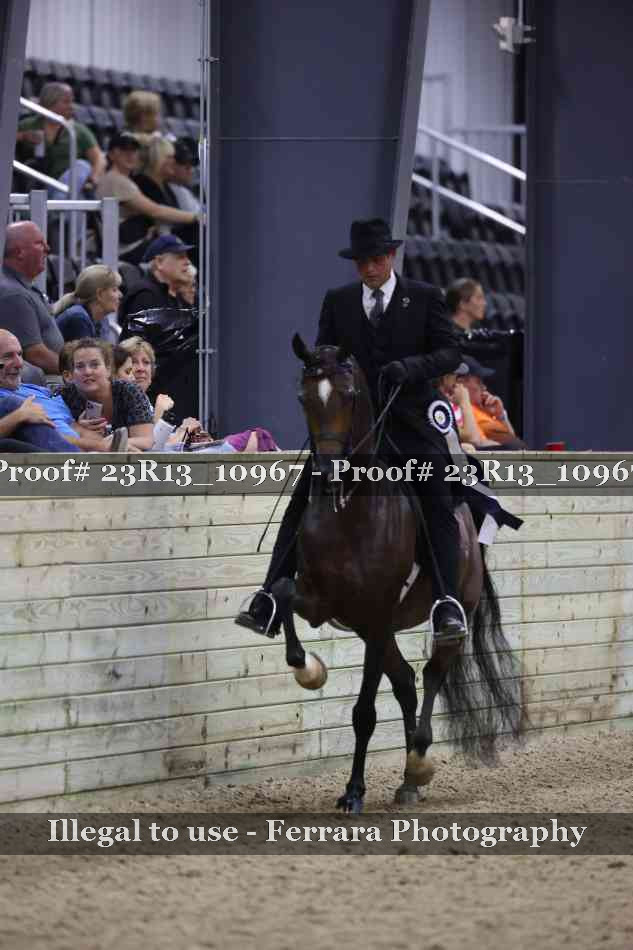 Proof Number 23R13_10967