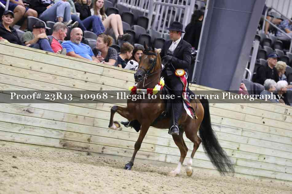Proof Number 23R13_10968