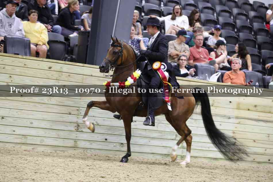 Proof Number 23R13_10970
