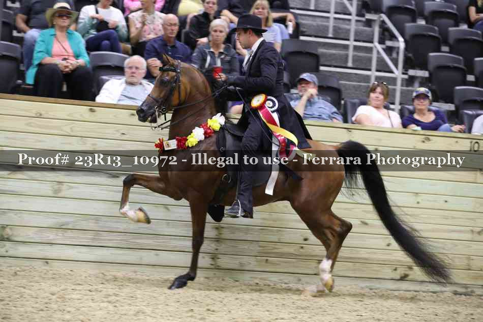 Proof Number 23R13_10972