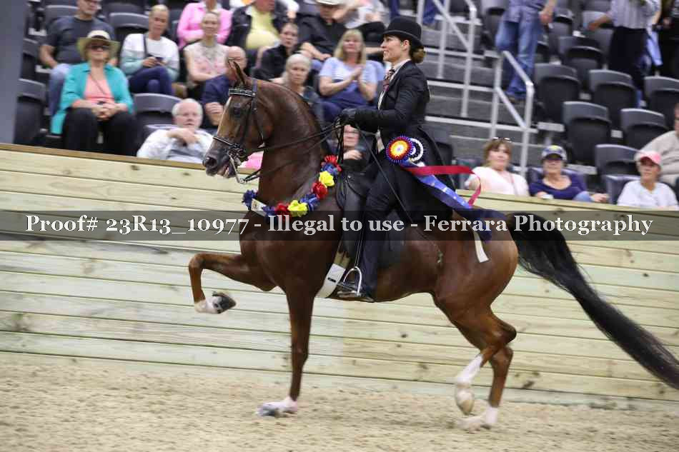 Proof Number 23R13_10977