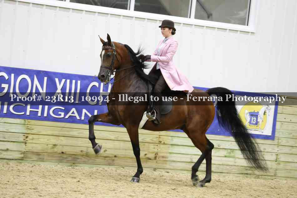 Proof Number 23R13_10994